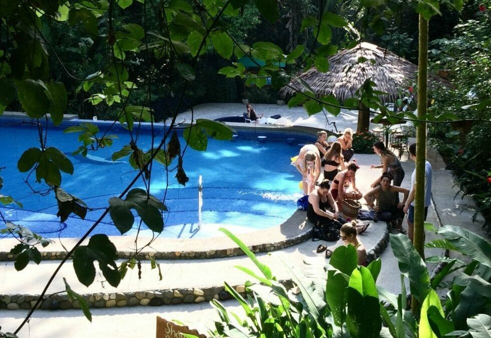 Yogis Travel Beauty Essentials