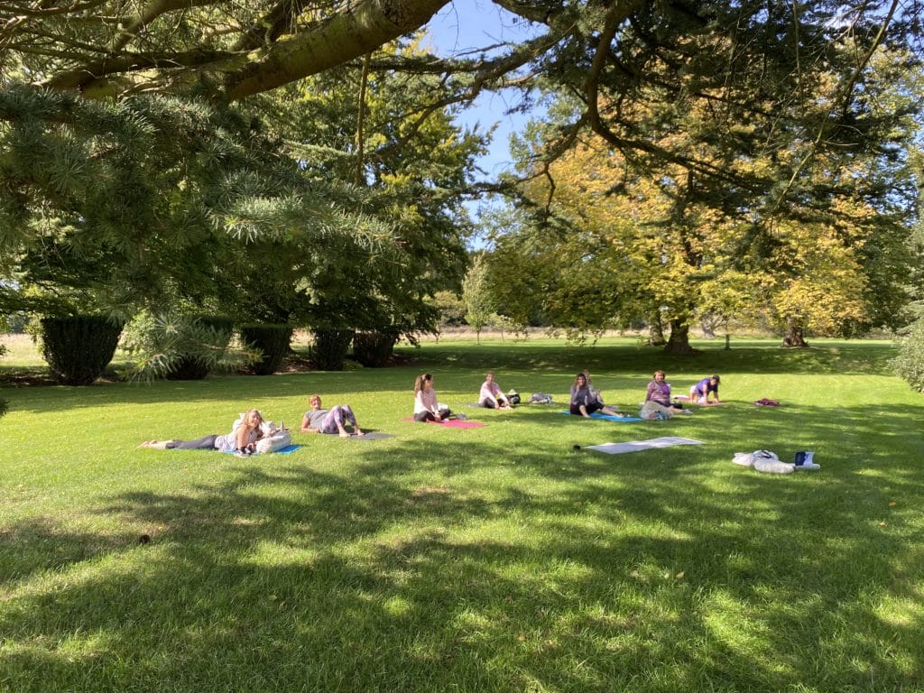 a group of people doing yoga in a park.