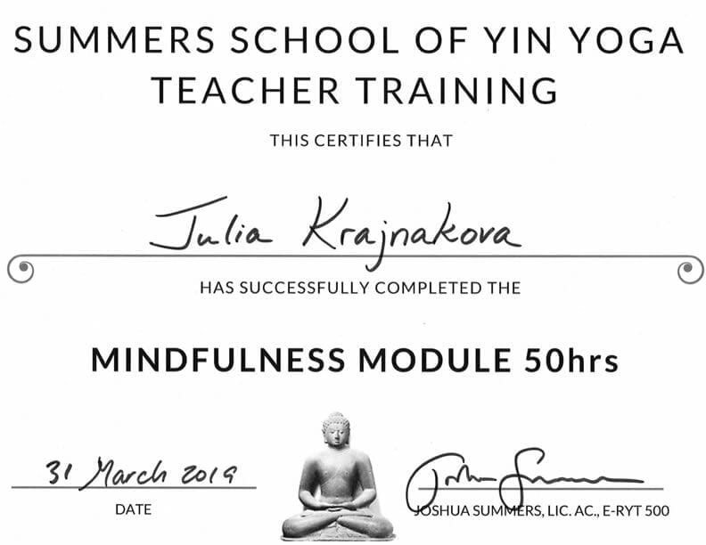 Summers School Yin Yoga 50 hours Certificate