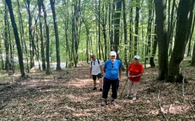 Live longer, increase your Healthspan