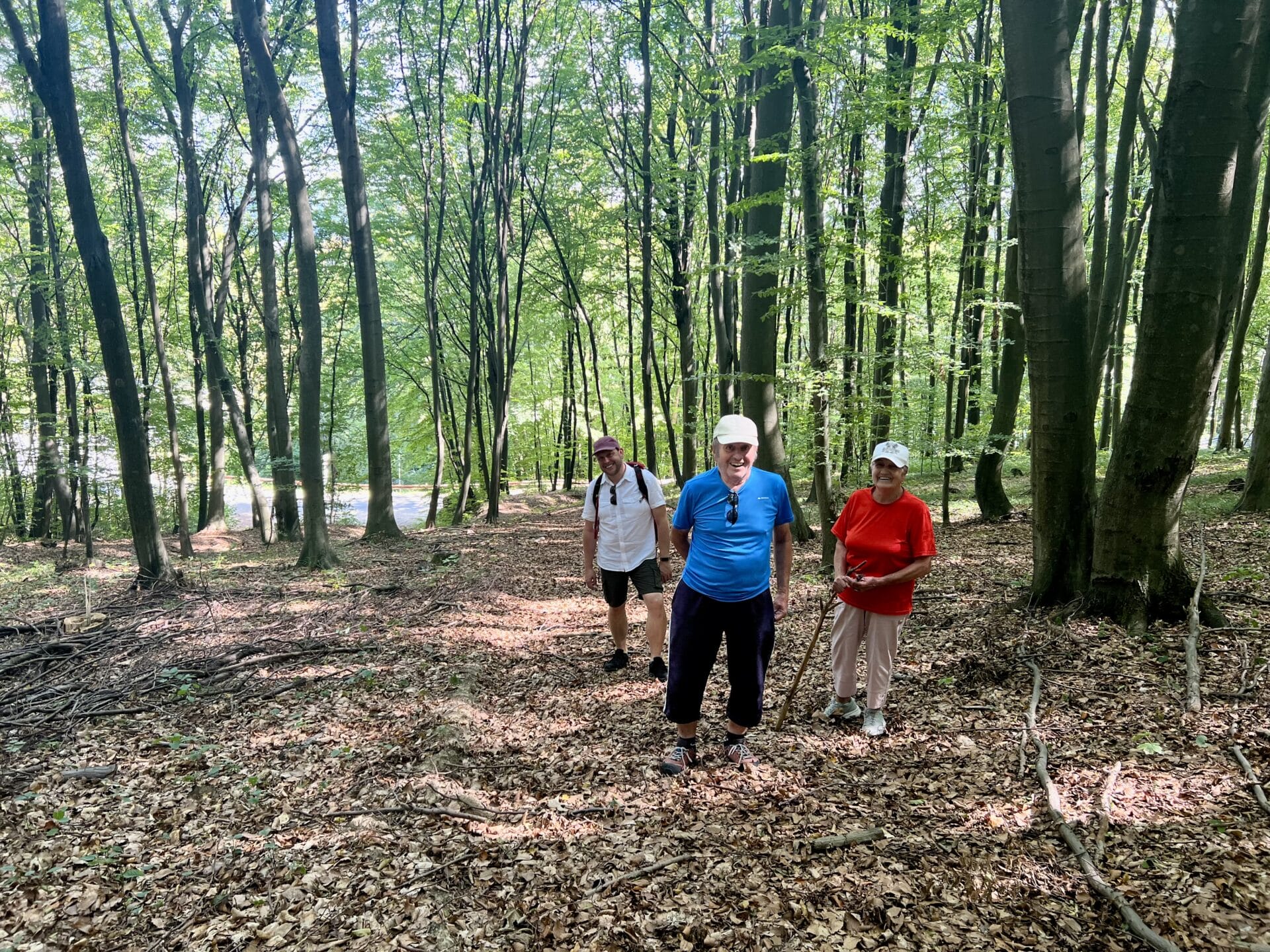 Hiking for Longevity Hiking for Longevity