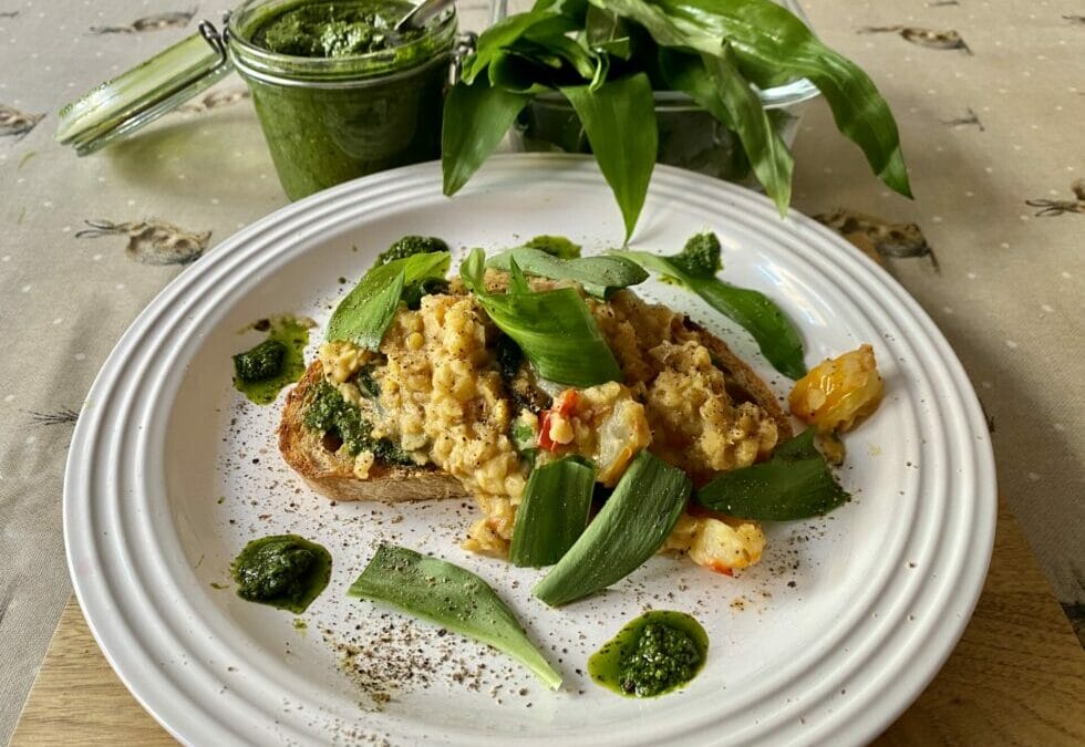 Wild Garlic – Powerful Antioxidant