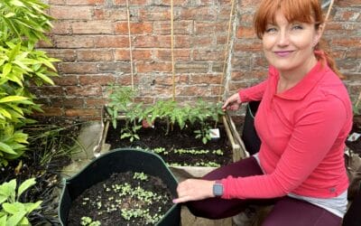 Improve your Immunity: Getting your hands dirty – The Wonders of Soil