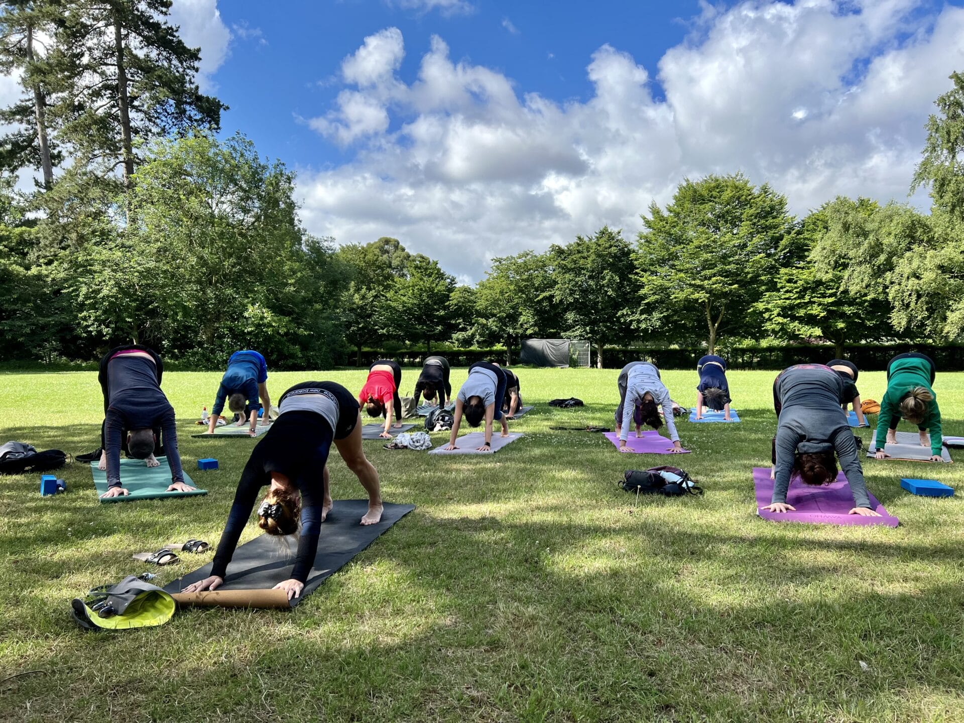 a group of people doing yoga in a park.