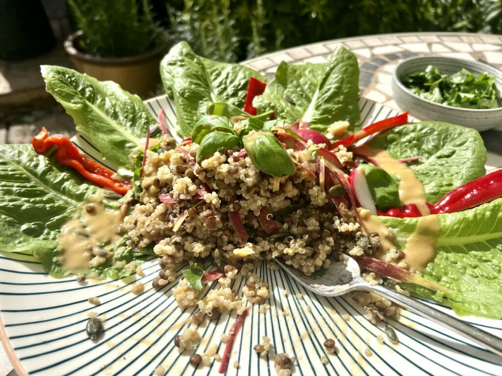 A quinoa salad on a plate with a fork.