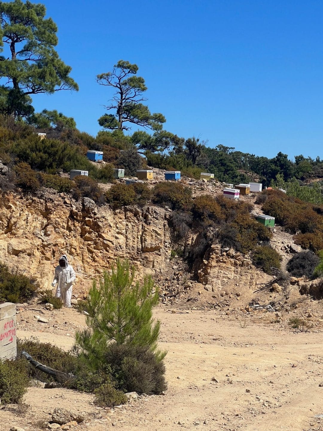 Person in protective suit walking in a dry, rocky landscape with scattered colorful beehives on a hillside under a clear blue sky.