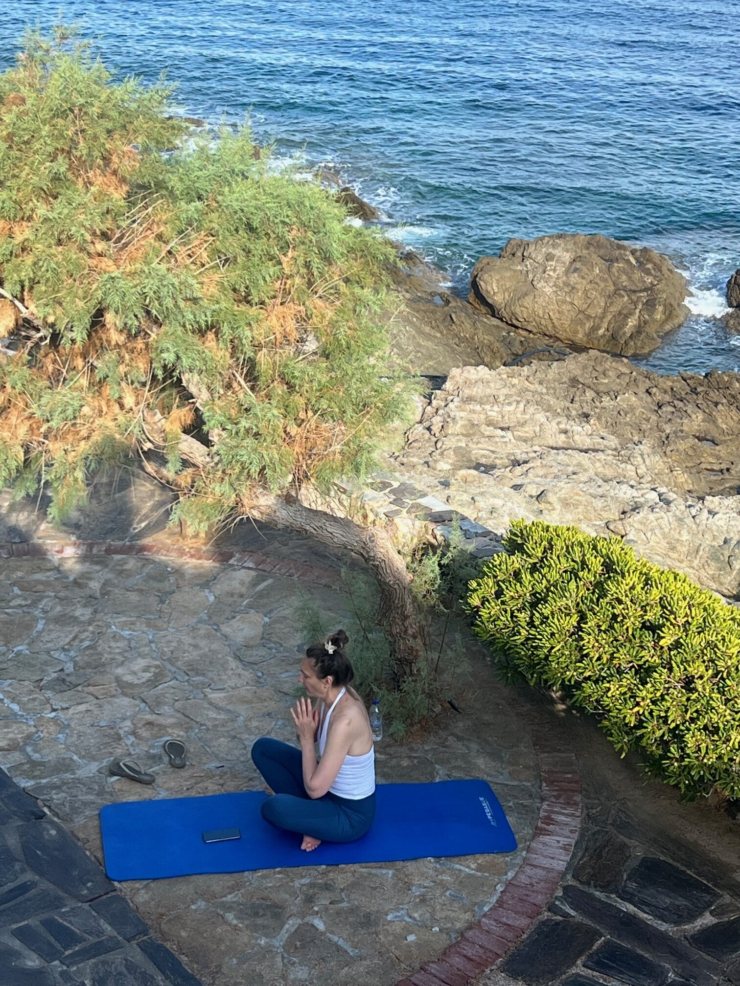 Person practicing yoga on a blue mat near a rocky shoreline with trees and lush greenery.