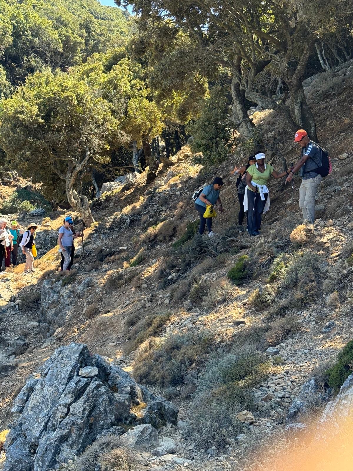 A group of people hikes on a steep, rocky trail surrounded by trees. Some hikers use walking sticks as they navigate the terrain.