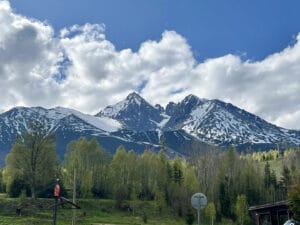 Snow-capped mountains under a partly cloudy sky, with green trees and a grassy area in the foreground.