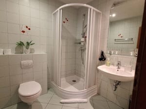 Modern bathroom with a corner shower, wall-mounted toilet, sink with mirror, and minimal decor. White tiles with red flower accents on the wall.